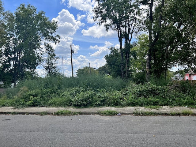 119 Green St, Nashville, TN 37210 - photo 2