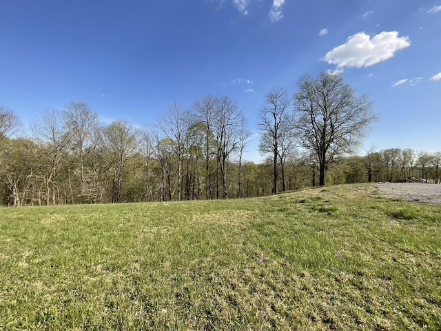 7035 Bethel Rd, Greenbrier, TN 37073 - photo 59