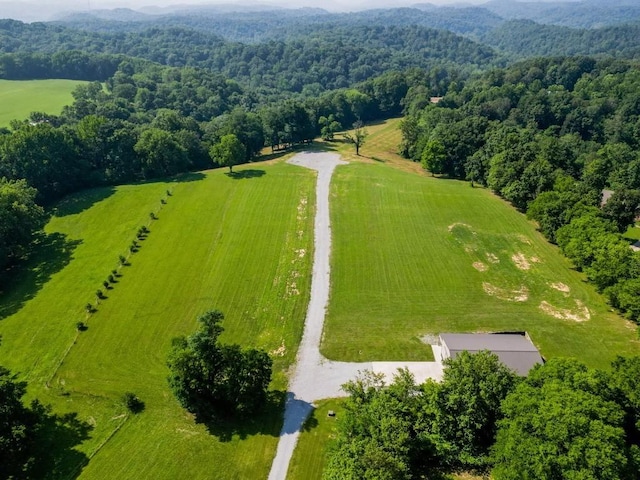 7035 Bethel Rd, Greenbrier, TN 37073 - photo 57