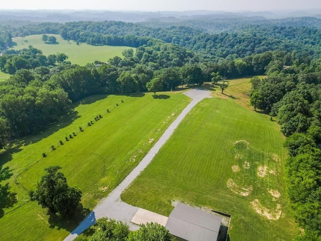 7035 Bethel Rd, Greenbrier, TN 37073 - photo 48