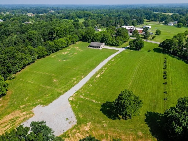7035 Bethel Rd, Greenbrier, TN 37073 - photo 50