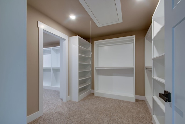 1151 Canaan Rd, Columbia, TN 38401 - walk in closet featuring attic access and carpet floors