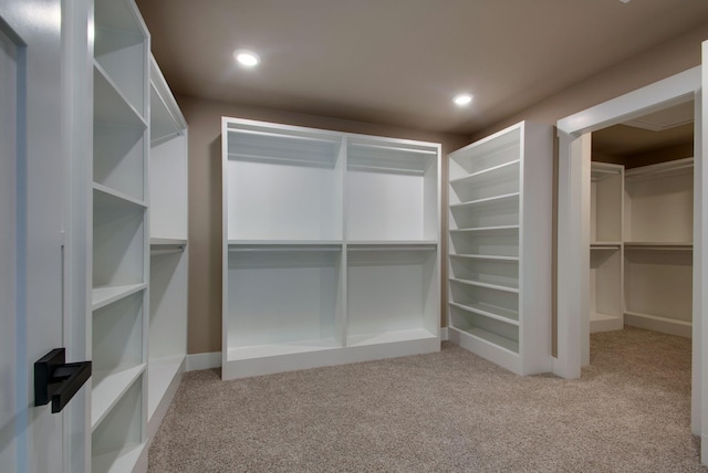 1151 Canaan Rd, Columbia, TN 38401 - spacious closet with carpet floors