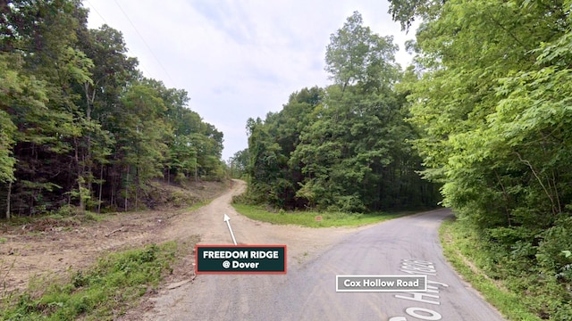0 Cox Hollow Rd Unit A, Dover, TN 37058 - photo 11