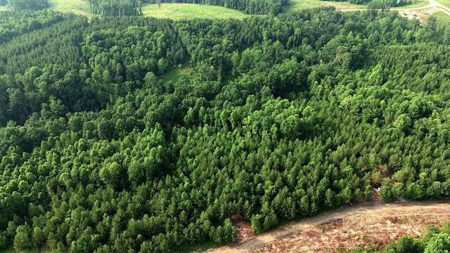 0 Cox Hollow Rd Unit A, Dover, TN 37058 - photo 19