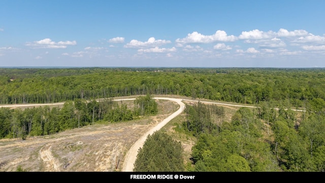 0 Cox Hollow Rd Unit A, Dover, TN 37058 - photo 27