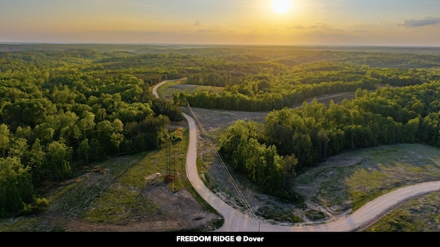 0 Cox Hollow Rd Unit A, Dover, TN 37058 - photo 23