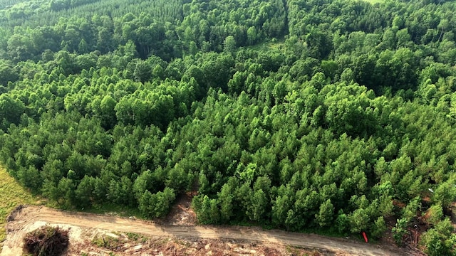 0 Cox Hollow Rd Unit A, Dover, TN 37058 - photo 15
