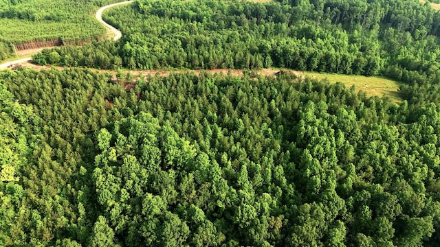 0 Cox Hollow Rd Unit A, Dover, TN 37058 - photo 17