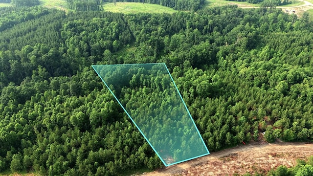 0 Cox Hollow Rd Unit A, Dover, TN 37058 - photo 14