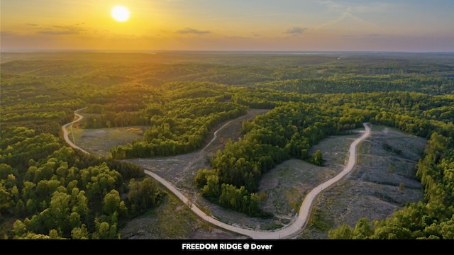 0 Cox Hollow Rd Unit A, Dover, TN 37058 - photo 29