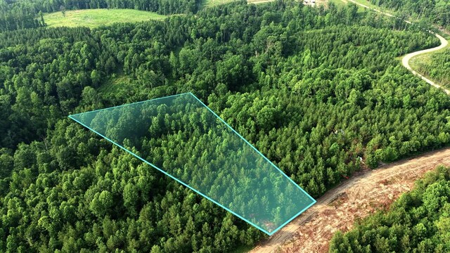 0 Cox Hollow Rd Unit A, Dover, TN 37058 - photo 1