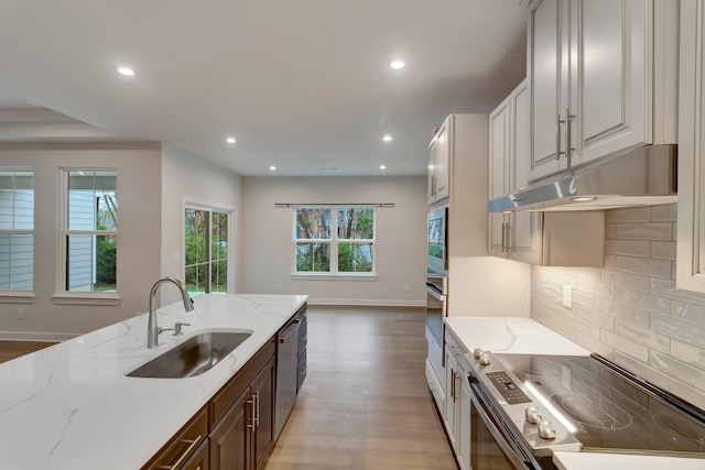kitchen with stainless steel appliances, a sink, plenty of natural light, light wood-style flooring, and recessed lighting