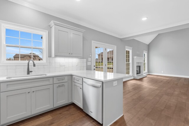 1121 Joe Martin Ln, Lebanon, TN 37087 - kitchen featuring backsplash, a sink, a peninsula, dishwashing machine, and dark wood-style flooring