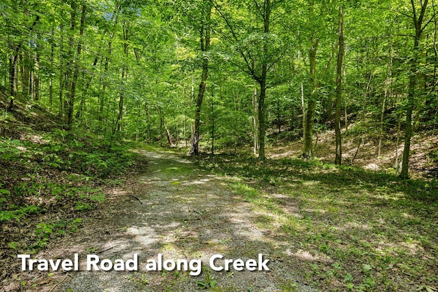 1 Crocker Springs Rd, Goodlettsville, TN 37072 - photo 6