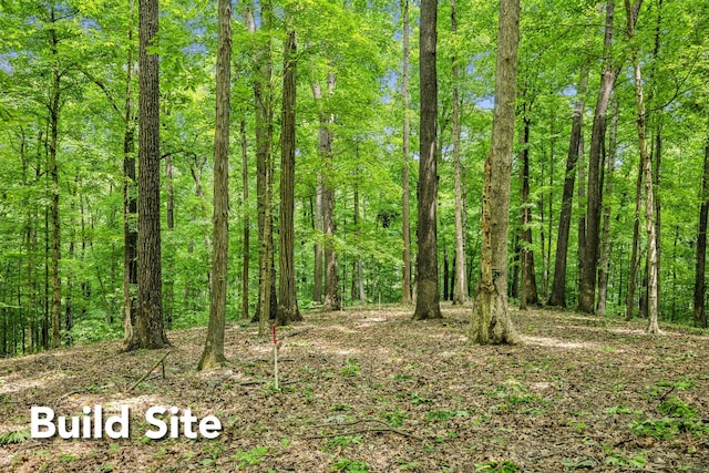 1 Crocker Springs Rd, Goodlettsville, TN 37072 - photo 12
