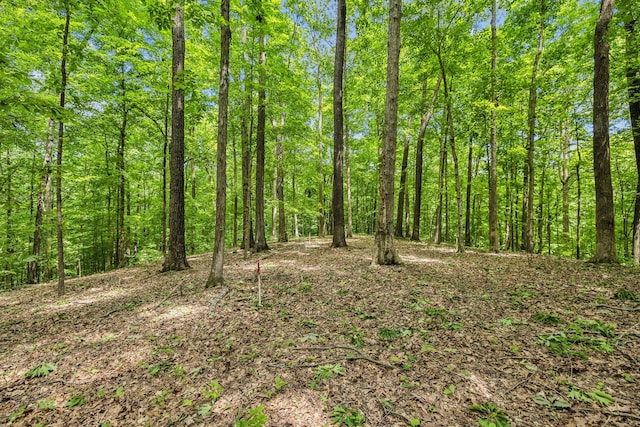 1 Crocker Springs Rd, Goodlettsville, TN 37072 - photo 17