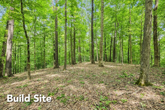 1 Crocker Springs Rd, Goodlettsville, TN 37072 - photo 11