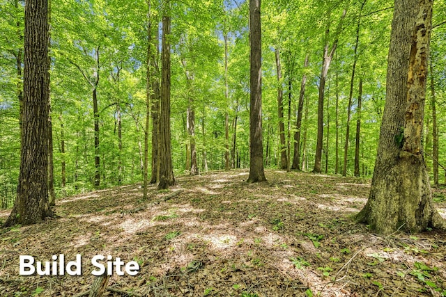 1 Crocker Springs Rd, Goodlettsville, TN 37072 - photo 15