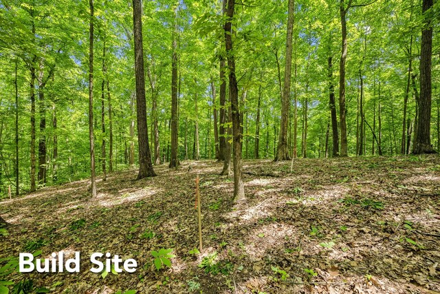 1 Crocker Springs Rd, Goodlettsville, TN 37072 - photo 14