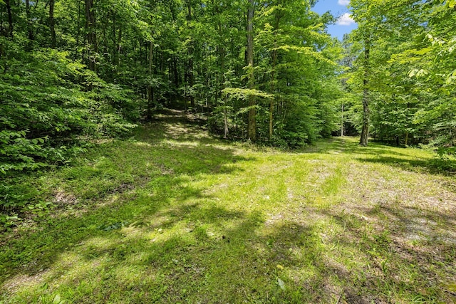 1 Crocker Springs Rd, Goodlettsville, TN 37072 - photo 10