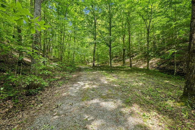 1 Crocker Springs Rd, Goodlettsville, TN 37072 - photo 7
