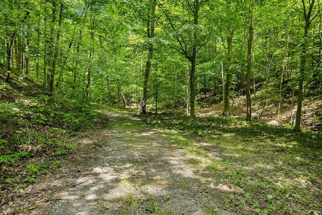 1 Crocker Springs Rd, Goodlettsville, TN 37072 - photo 8