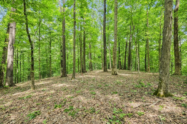 1 Crocker Springs Rd, Goodlettsville, TN 37072 - photo 19