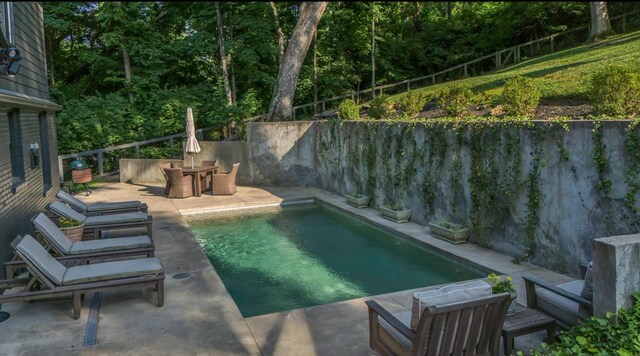 915 Overton Lea Rd, Nashville, TN 37220 - view of pool featuring a fenced backyard and a patio