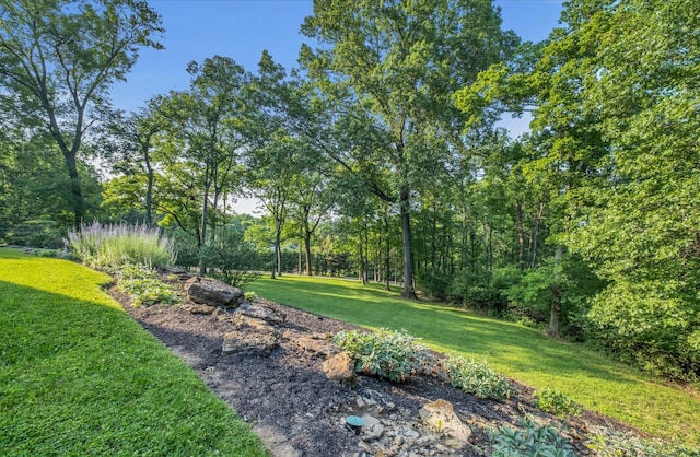 915 Overton Lea Rd, Nashville, TN 37220 - view of green lawn