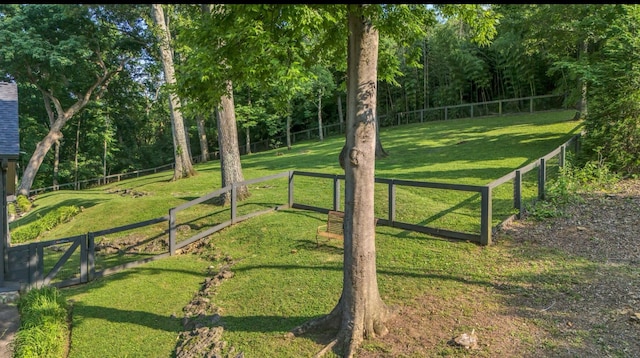 915 Overton Lea Rd, Nashville, TN 37220 - view of yard