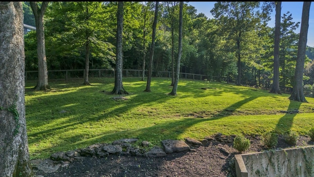 915 Overton Lea Rd, Nashville, TN 37220 - view of yard featuring a view of trees