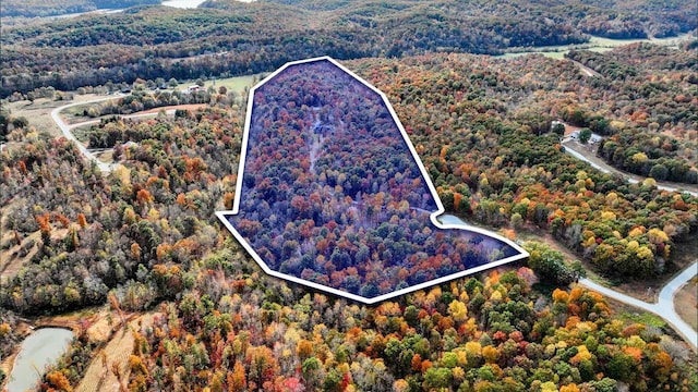 bird's eye view featuring a forest view