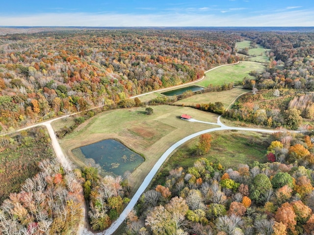 230 Anchor Dr, Waverly, TN 37185 - drone / aerial view with a water view and a forest view