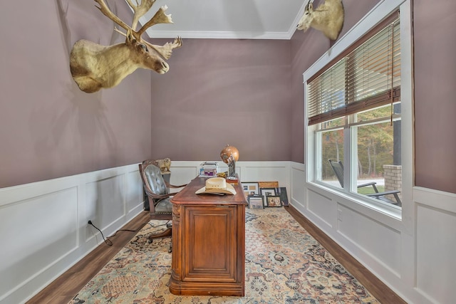 230 Anchor Dr, Waverly, TN 37185 - office area with a decorative wall, a wainscoted wall, and dark wood finished floors