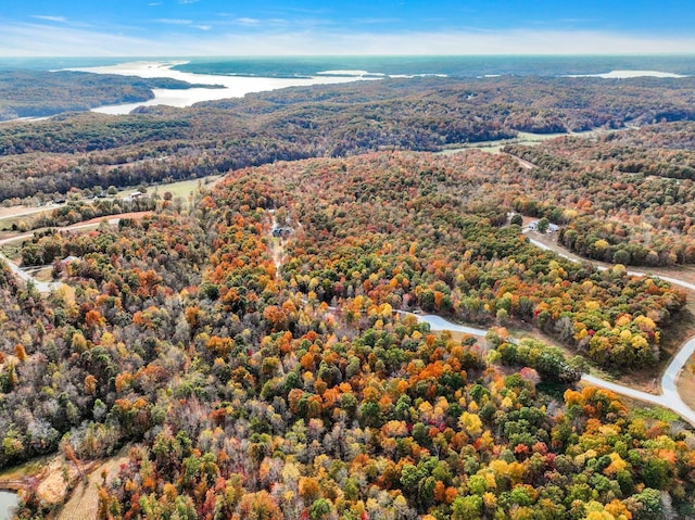 230 Anchor Dr, Waverly, TN 37185 - birds eye view of property featuring a water view