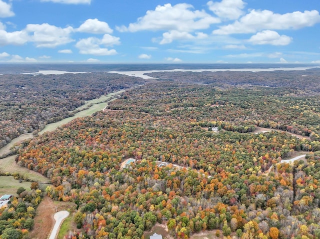 230 Anchor Dr, Waverly, TN 37185 - birds eye view of property with a water view