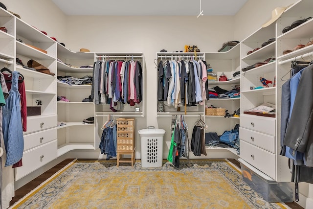 230 Anchor Dr, Waverly, TN 37185 - view of walk in closet