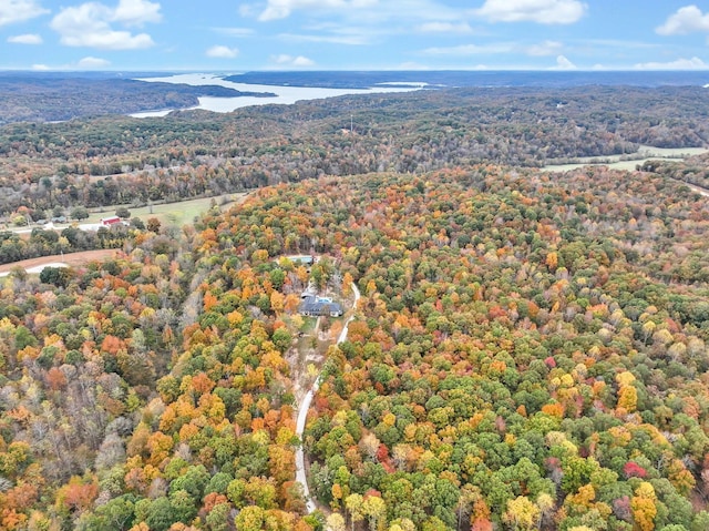 230 Anchor Dr, Waverly, TN 37185 - drone / aerial view with a water view and a view of trees