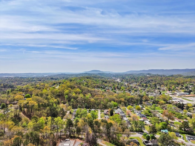 4947 Old Trl, Chattanooga, TN 37415 - photo 48