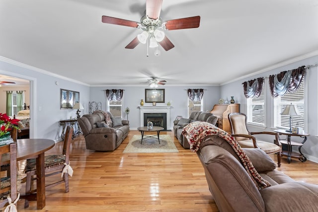 living area featuring crown molding, a wealth of natural light, light wood-type flooring, and a ceiling fan