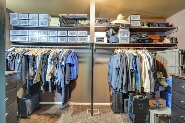 409 Cunniff Pkwy, Goodlettsville, TN 37072 - walk in closet featuring visible vents and carpet floors