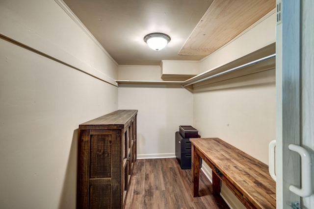 409 Cunniff Pkwy, Goodlettsville, TN 37072 - walk in closet with dark wood-style floors