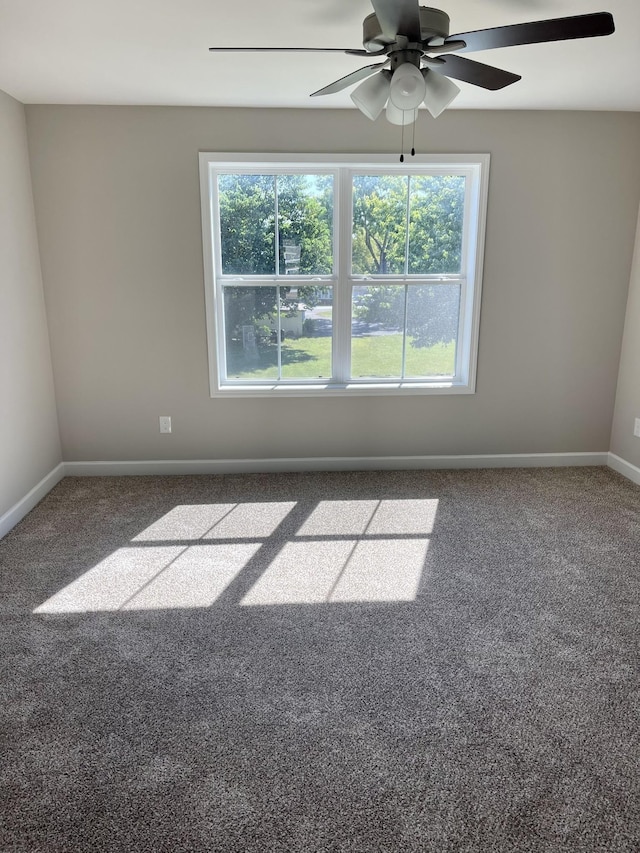 967 Horse Mountain Rd Unit 6A, Shelbyville, TN 37160 - carpeted empty room with a ceiling fan, baseboards, and a healthy amount of sunlight