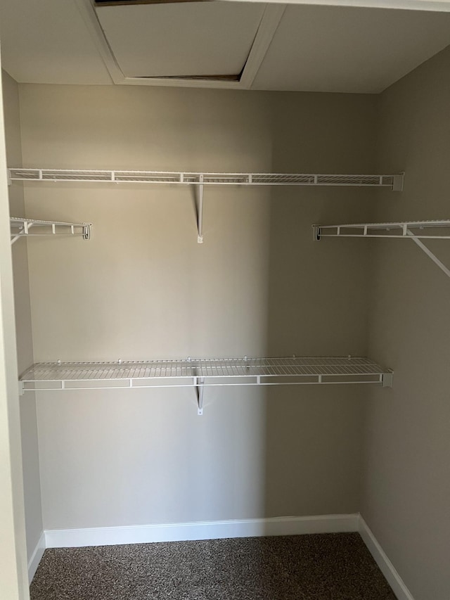 967 Horse Mountain Rd Unit 6G, Shelbyville, TN 37160 - walk in closet featuring attic access