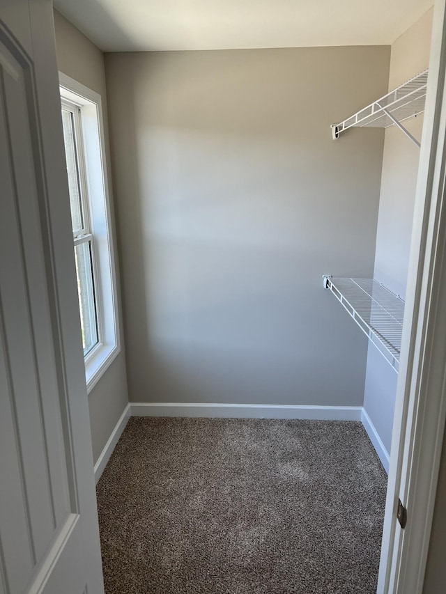 967 Horse Mountain Rd Unit 6G, Shelbyville, TN 37160 - spacious closet featuring carpet flooring