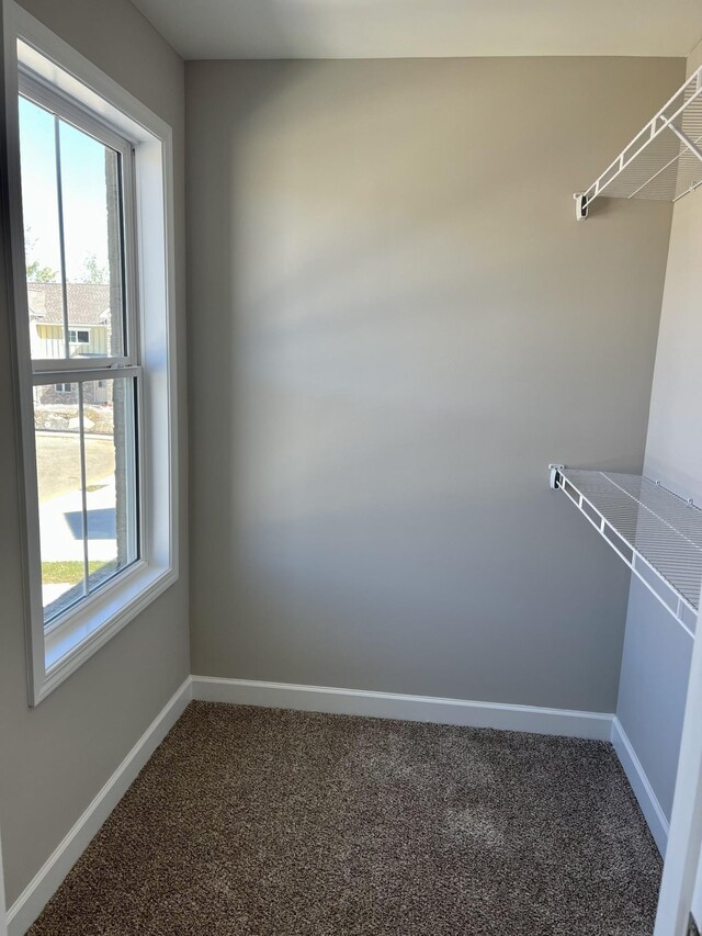 967 Horse Mountain Rd Unit 6D, Shelbyville, TN 37160 - walk in closet with carpet flooring