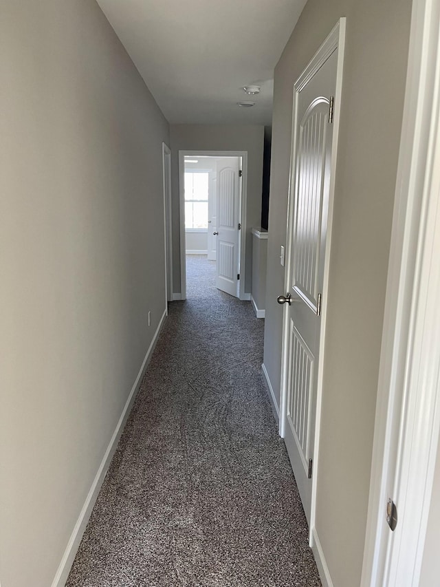 967 Horse Mountain Rd Unit 6D, Shelbyville, TN 37160 - hall with baseboards and dark carpet