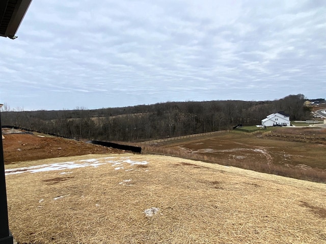 view of yard with a rural view