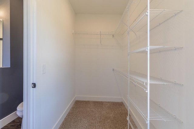 spacious closet with carpet flooring